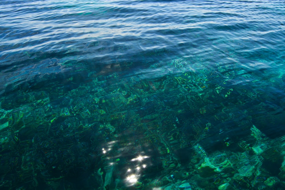 blue and white water waves