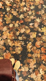 A scattering of autumn leaves in shades of orange, yellow, and brown covers a paved surface. Yellow shoes and a brown bag are partially visible at the bottom of the image, adding a personal touch to the scene.