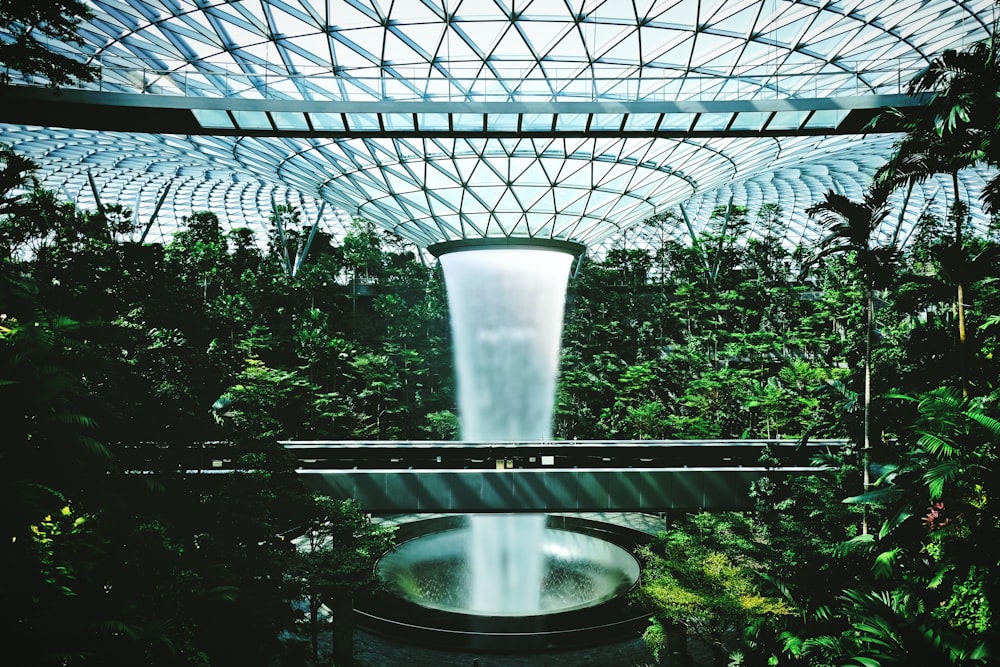 water fountain in the middle of green trees