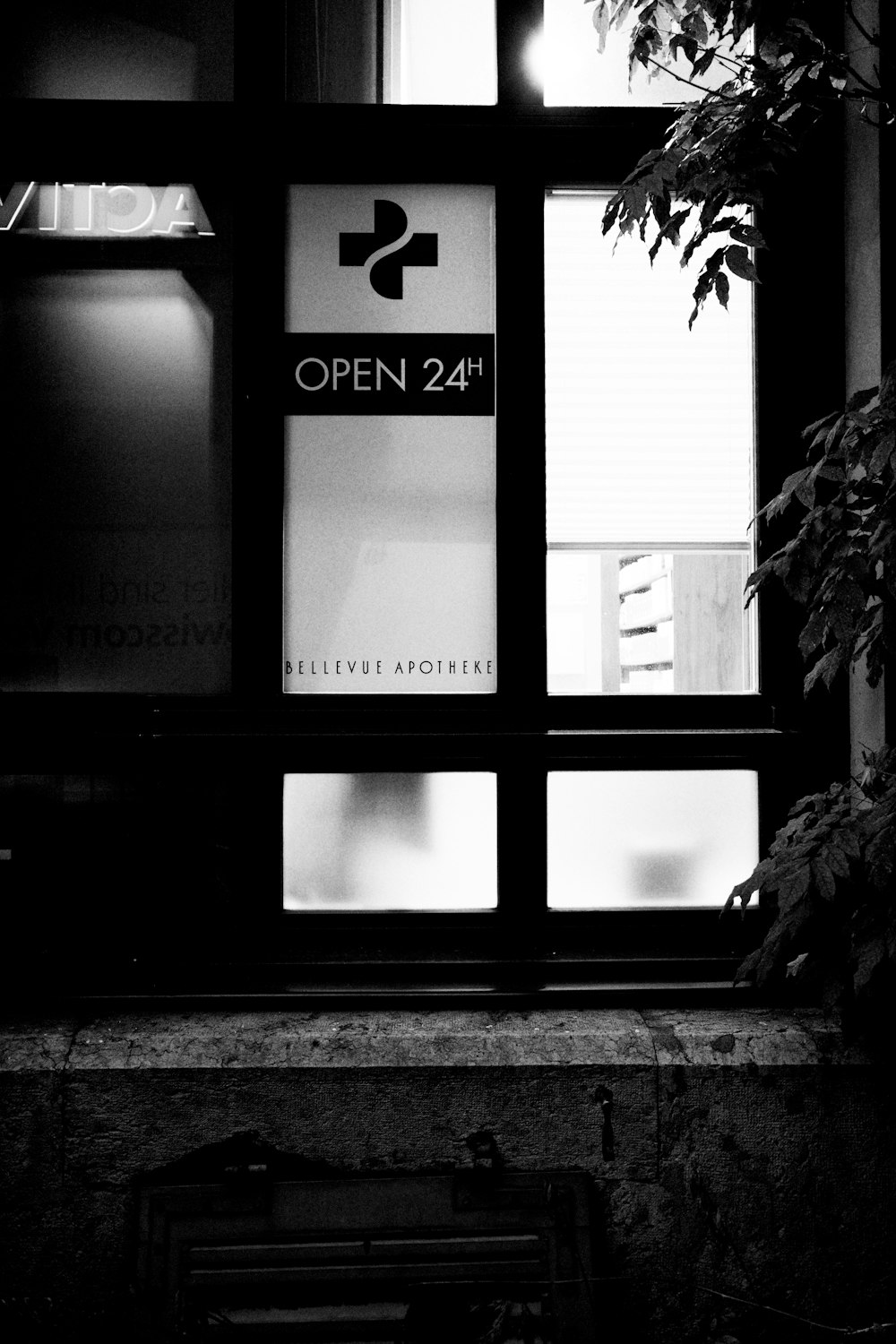 grayscale photo of black wooden framed glass window