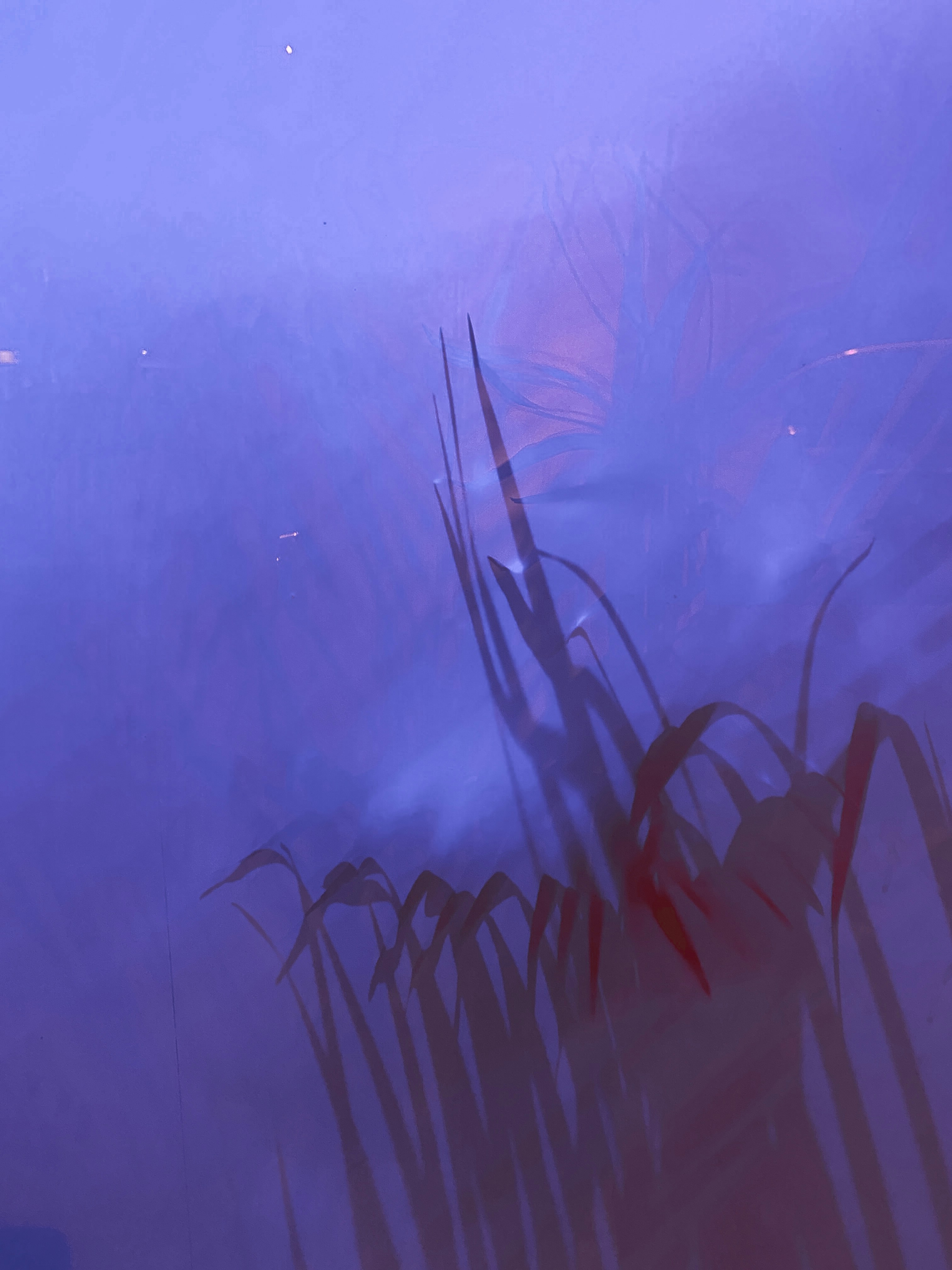 Photo by anastasiaeremina