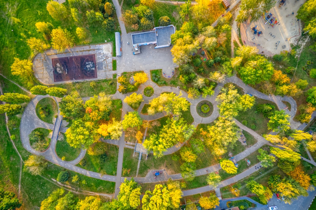 aerial view of green trees and white concrete building