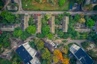 An aerial view of a residential area with several buildings lined parallel to each other, surrounded by lush green trees. The neighborhood includes parked cars along the streets and a variety of vegetation, giving it a natural look. The roads are visible, outlining the boundaries of the structures and creating a clear division within the residential space.