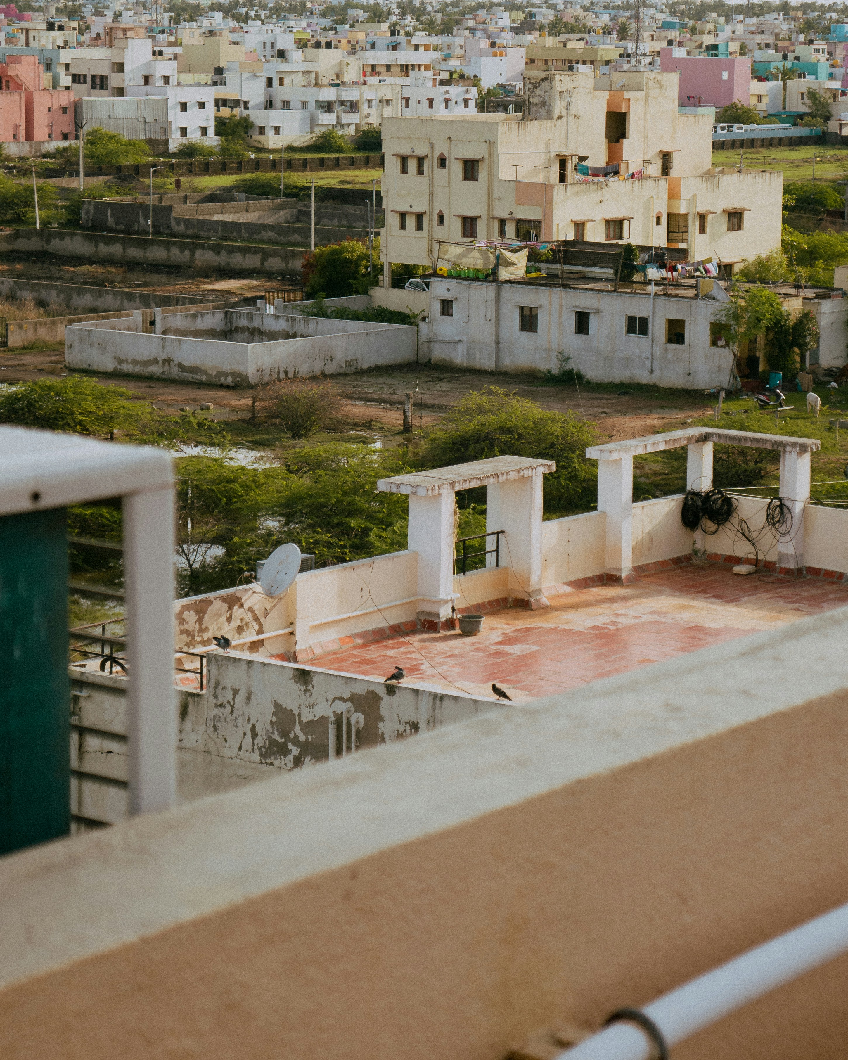 Photo by pranav_avn