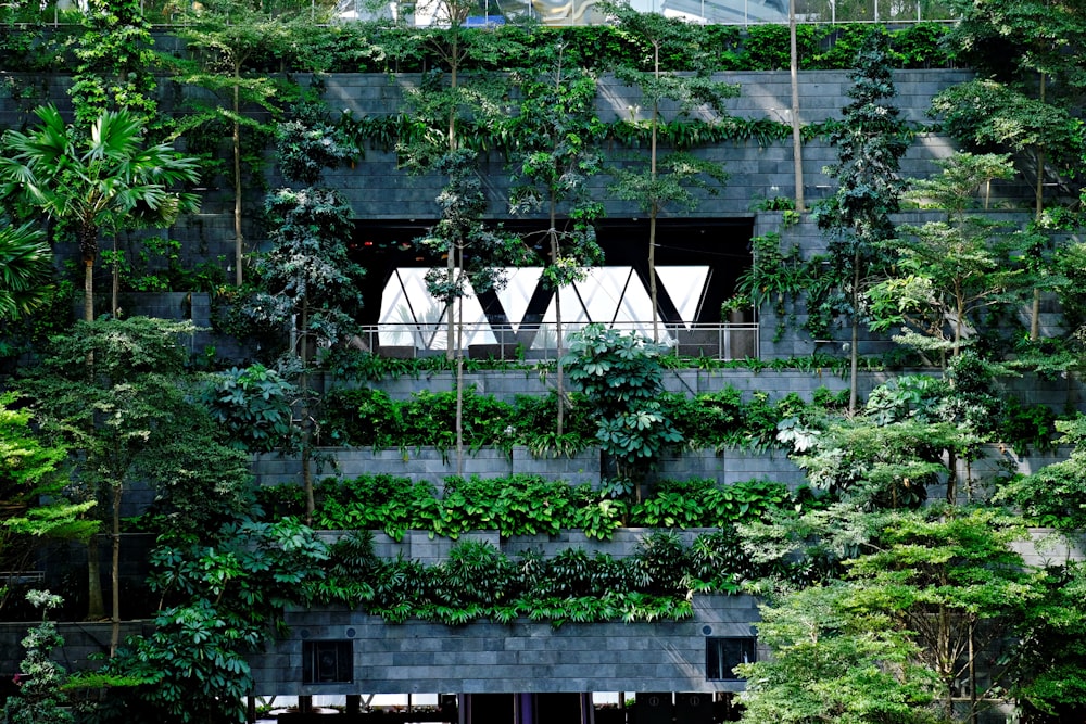 green trees and plants during daytime