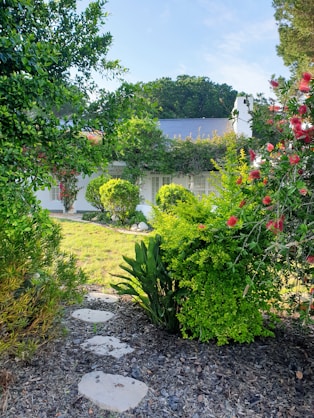 green plants and trees near body of water during daytime