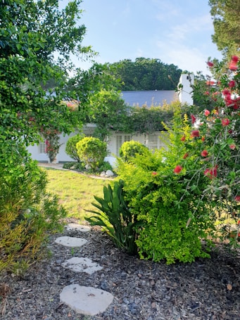A serene garden scene with a stone pathway leading through lush greenery. The background reveals a white house partially covered by bushes and surrounded by a variety of plants, including vibrant red flowers. The setting is peaceful and bathed in sunlight, with clear blue sky above and dense trees in the distance.