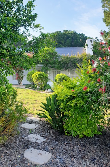 green plants and trees near body of water during daytime