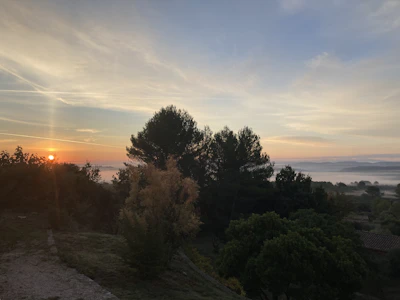 A vibrant sunrise over a rugged Australian landscape with silhouetted trees.