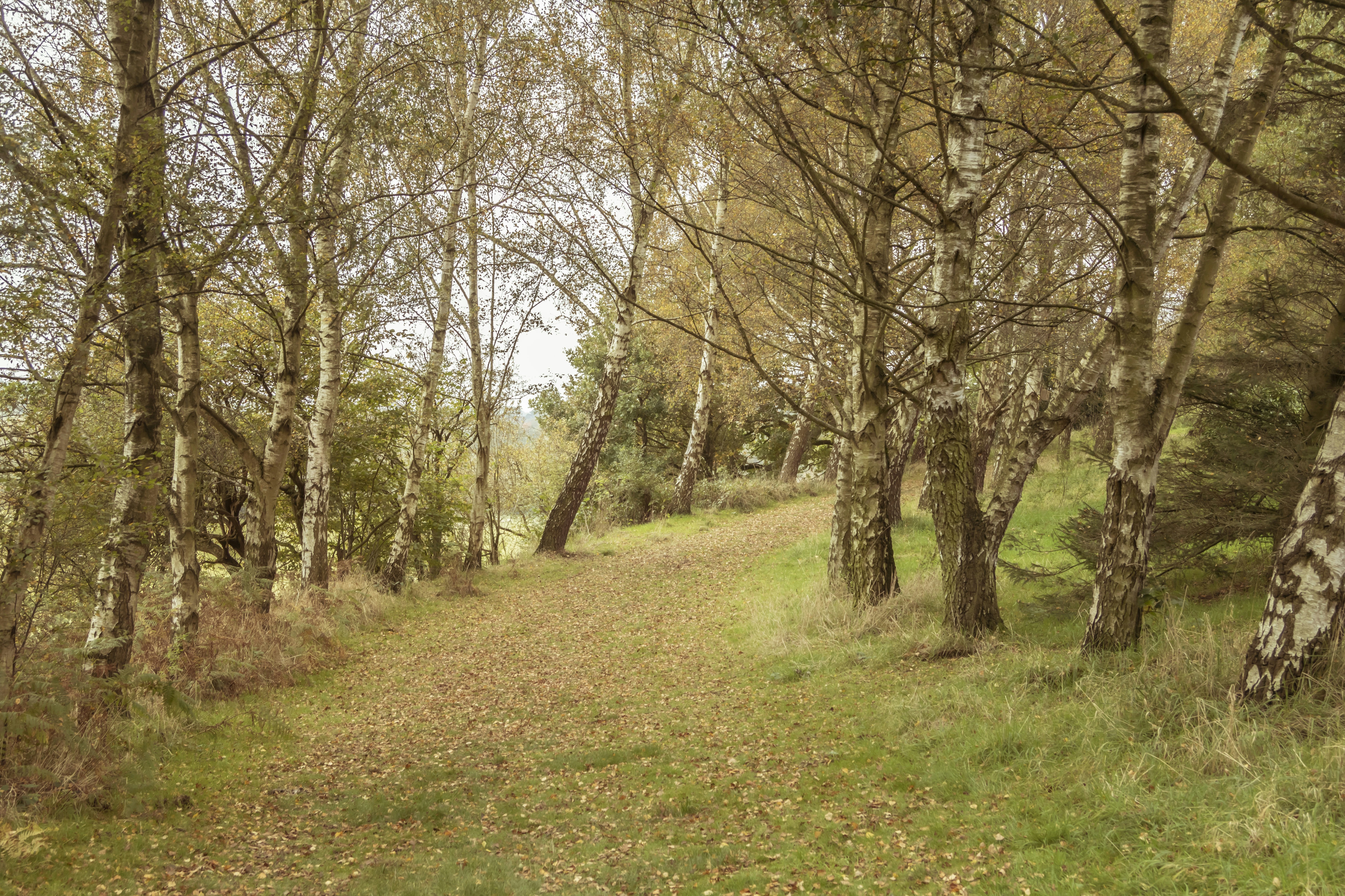 Photo by itscakefortea