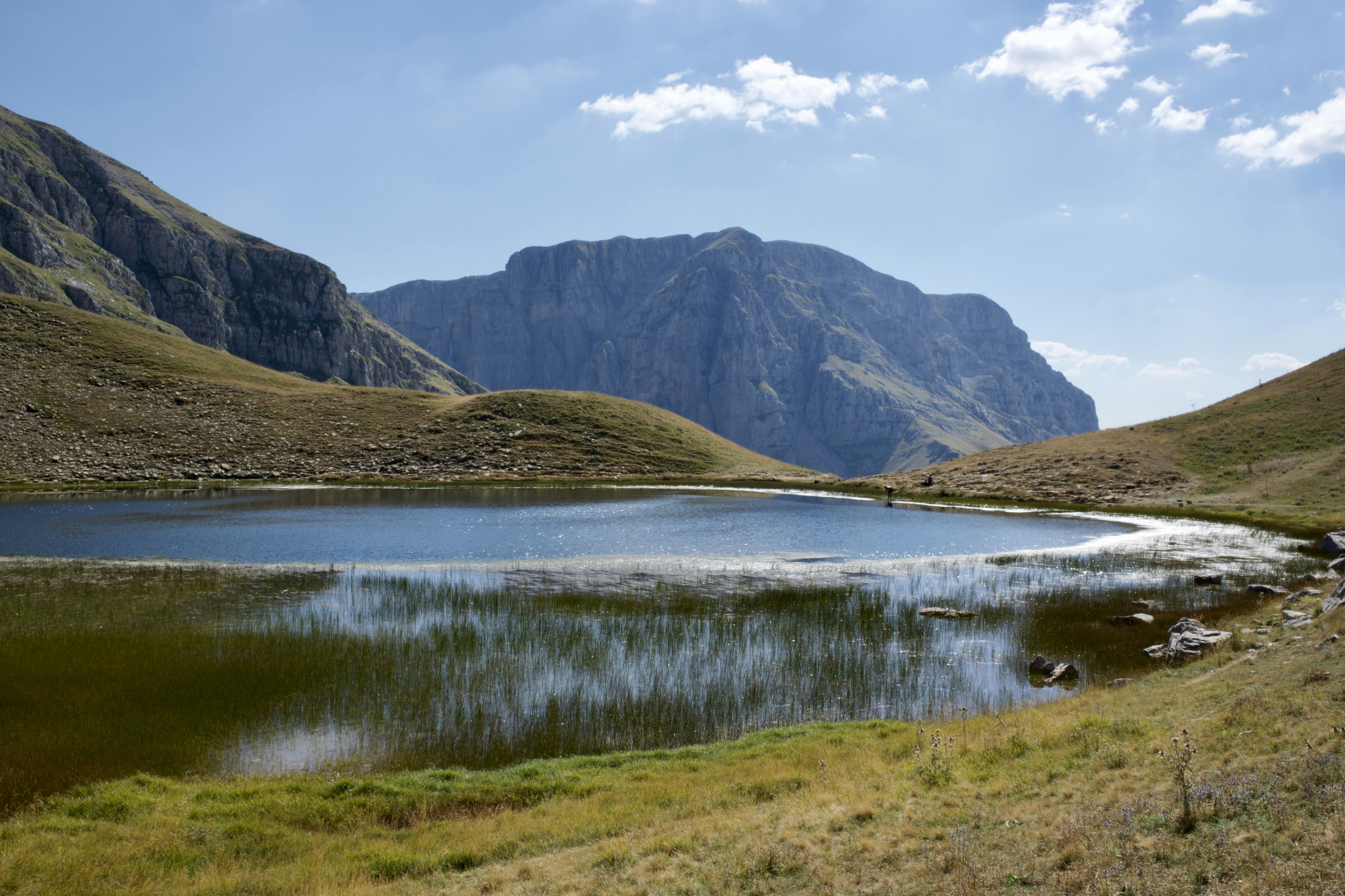 Photo by bullfishfighter