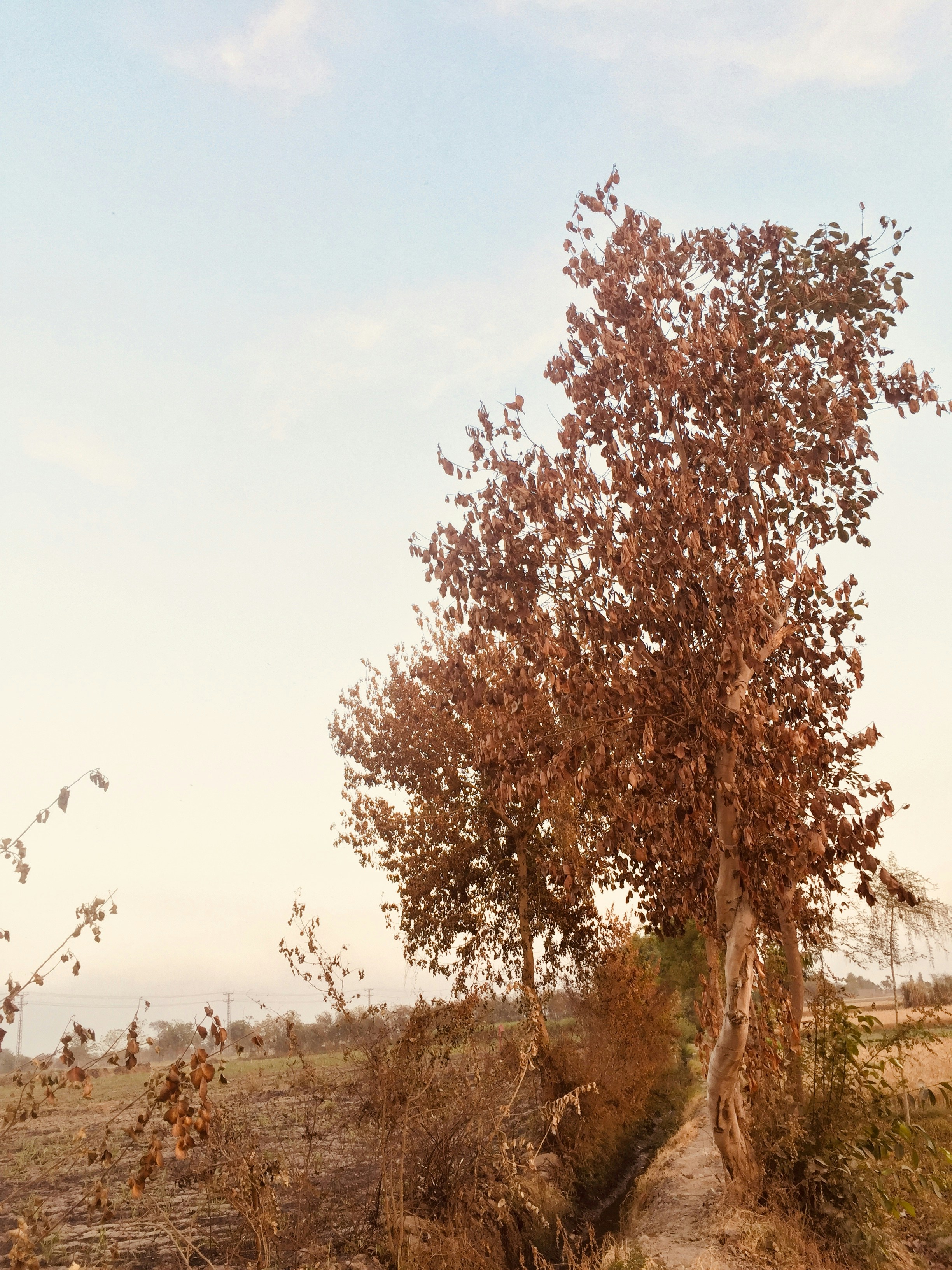 Photo by abdullaarya