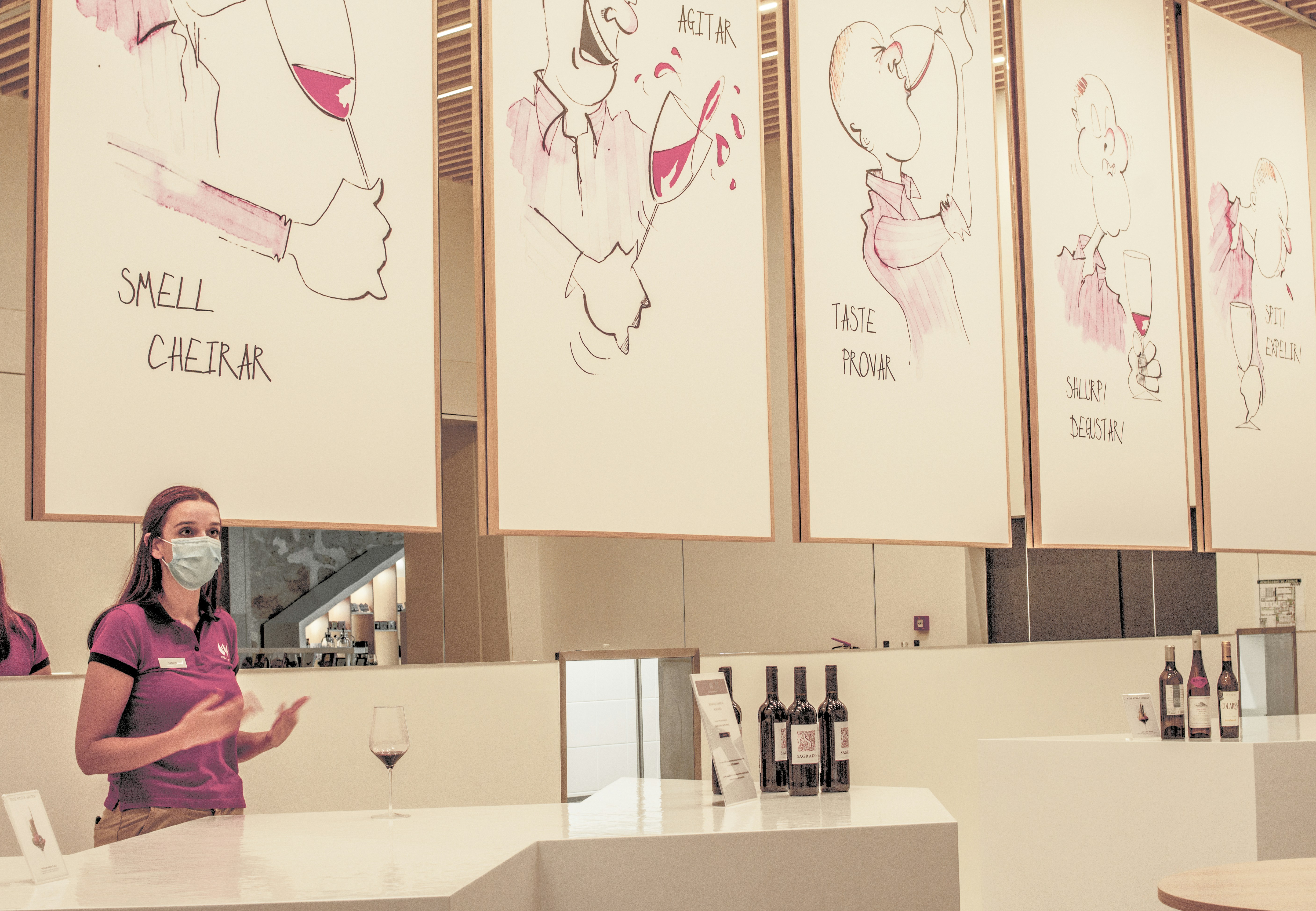 Cata de vino en WOW, museo del vino.