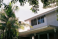 white concrete building near palm trees during daytime