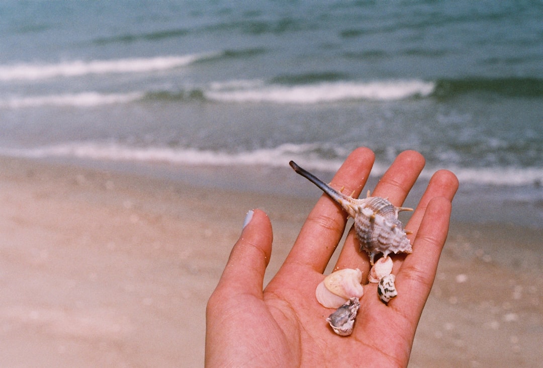 person holding brown and white bird