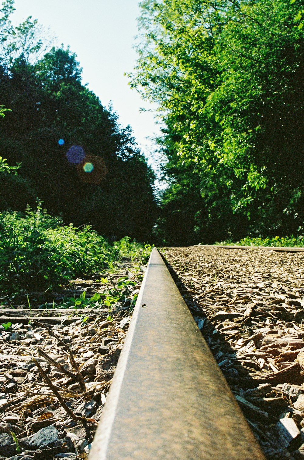 gray concrete pathway between green grass and trees during daytime