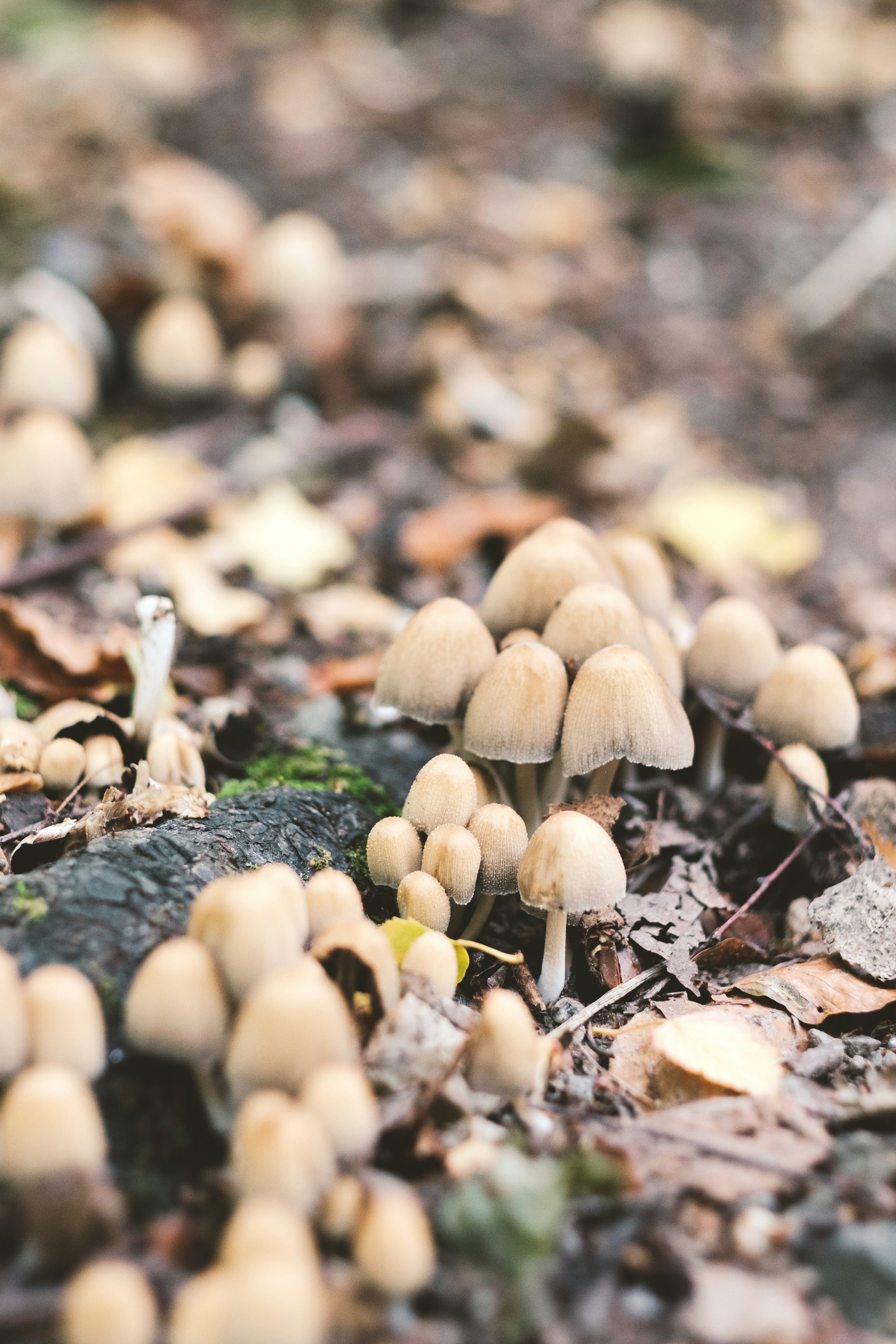 Photo by hanneskrupinski