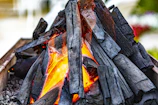brown and black wood log