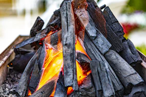 brown and black wood log