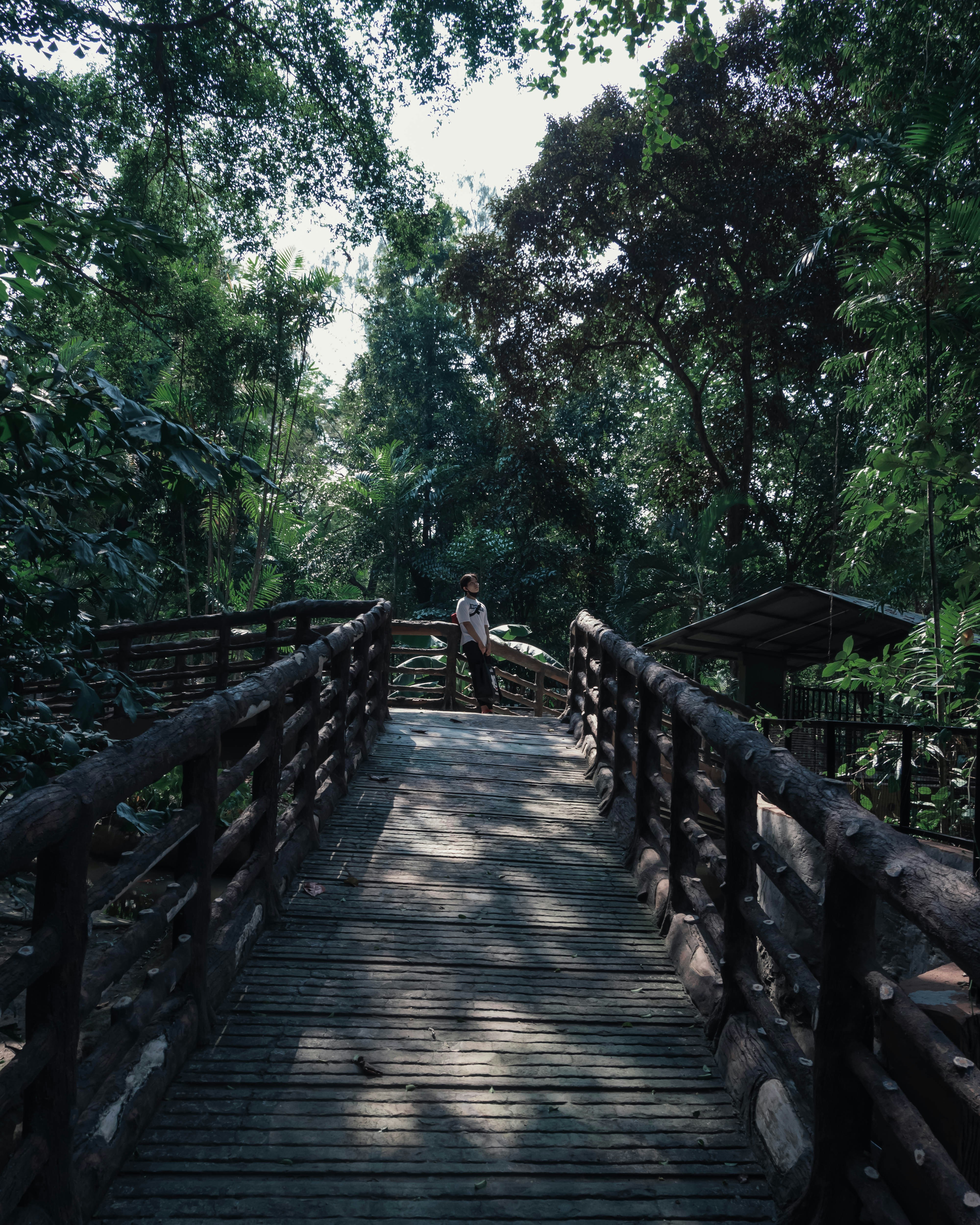 Photo by christojeffrey