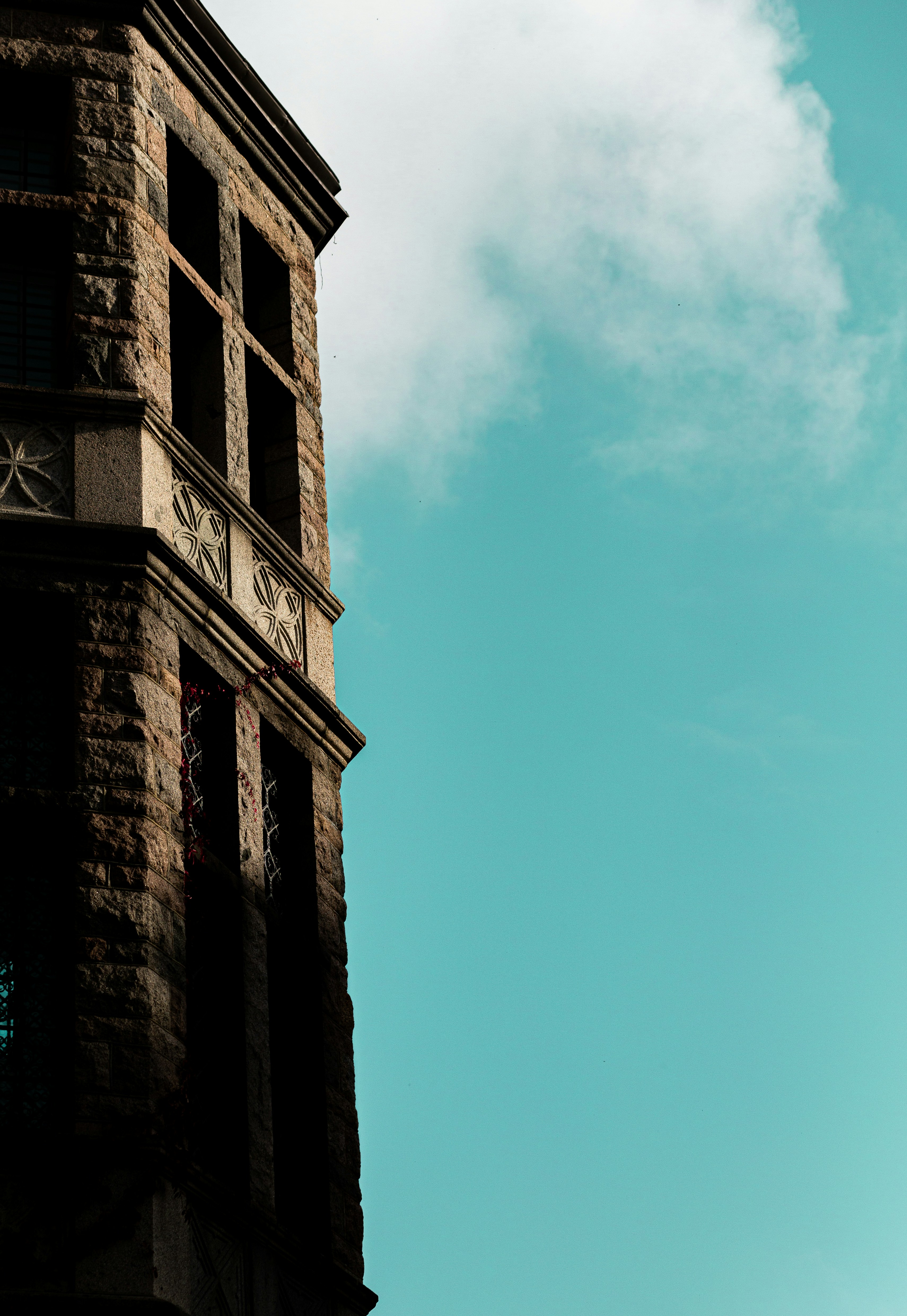 Photo by claoudtrees