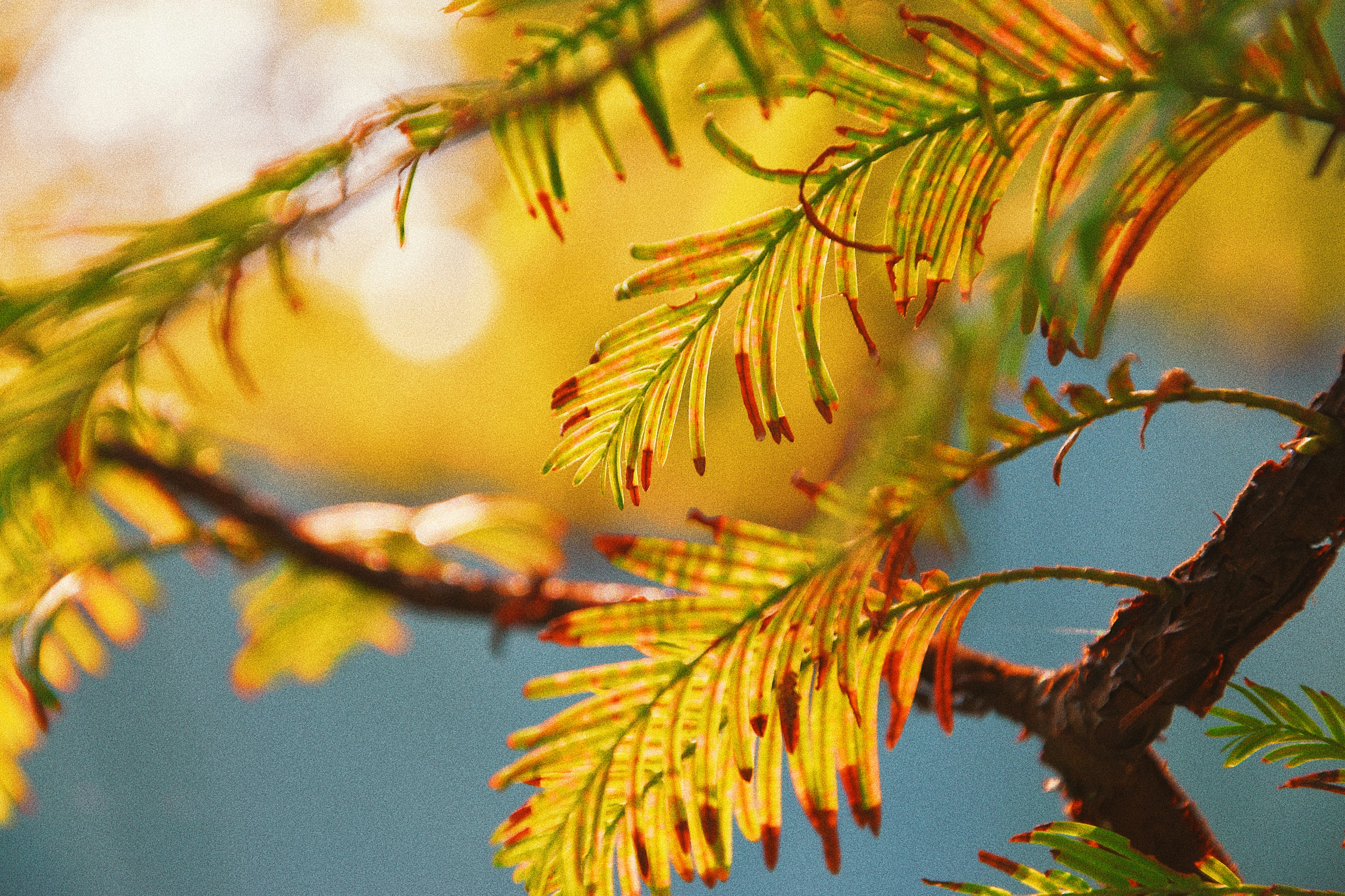 Photo by jizhidexiaohailang