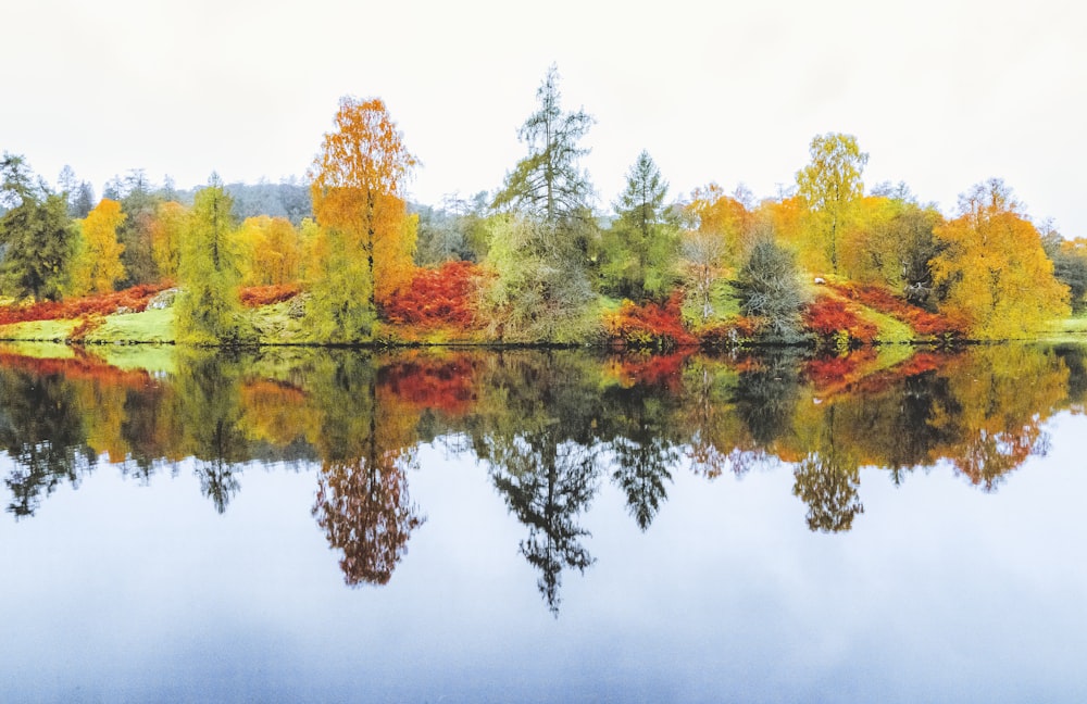 green and orange trees beside body of water during daytime