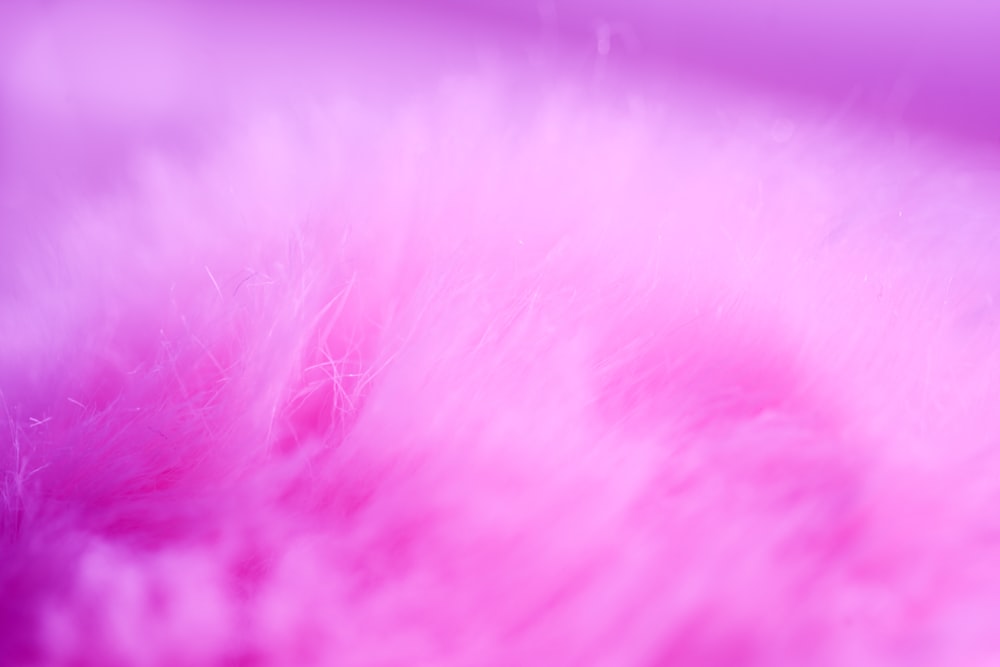 pink and white fur textile