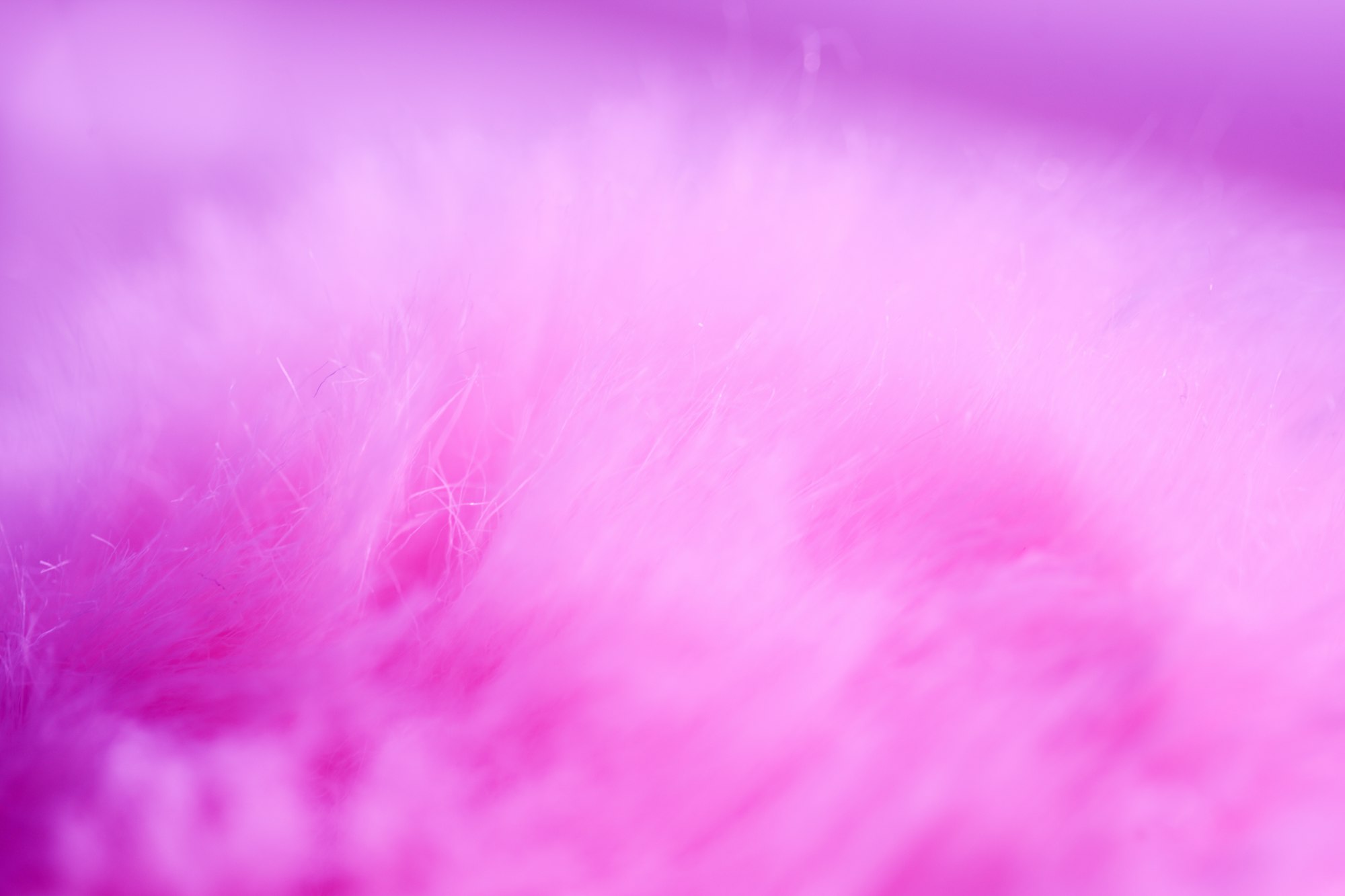 Pinky purple fluffy unicorn fur background. Whimsical and fun.