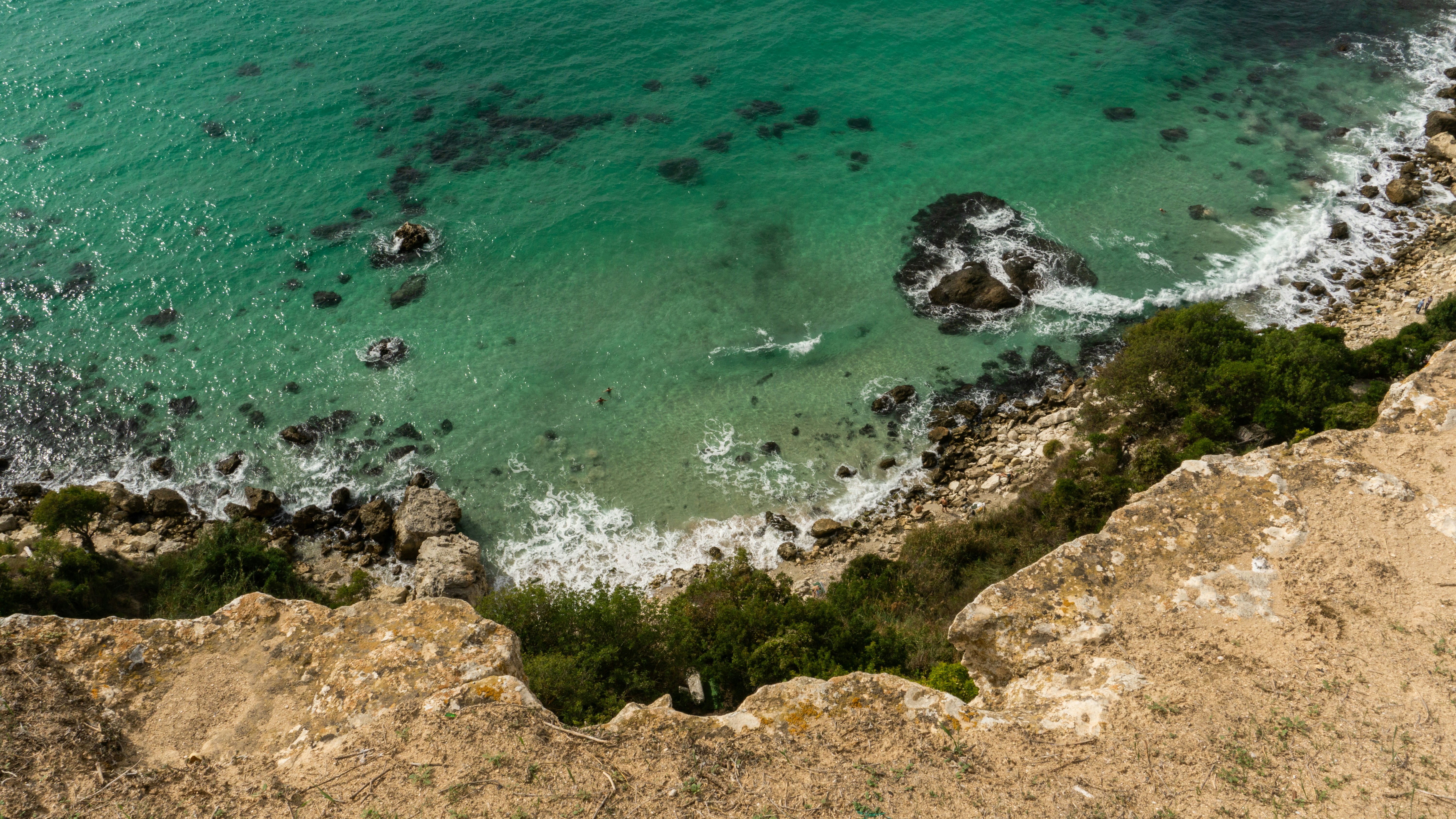 brown rocky shore with green moss and blue sea water during daytime