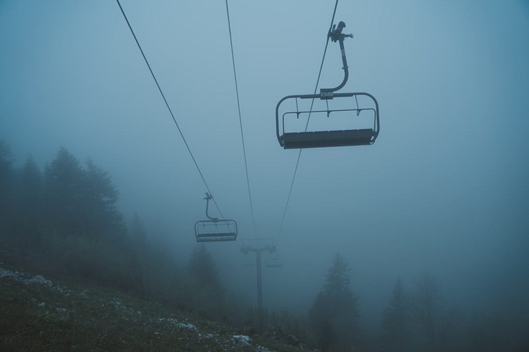 black cable car over green trees during daytime