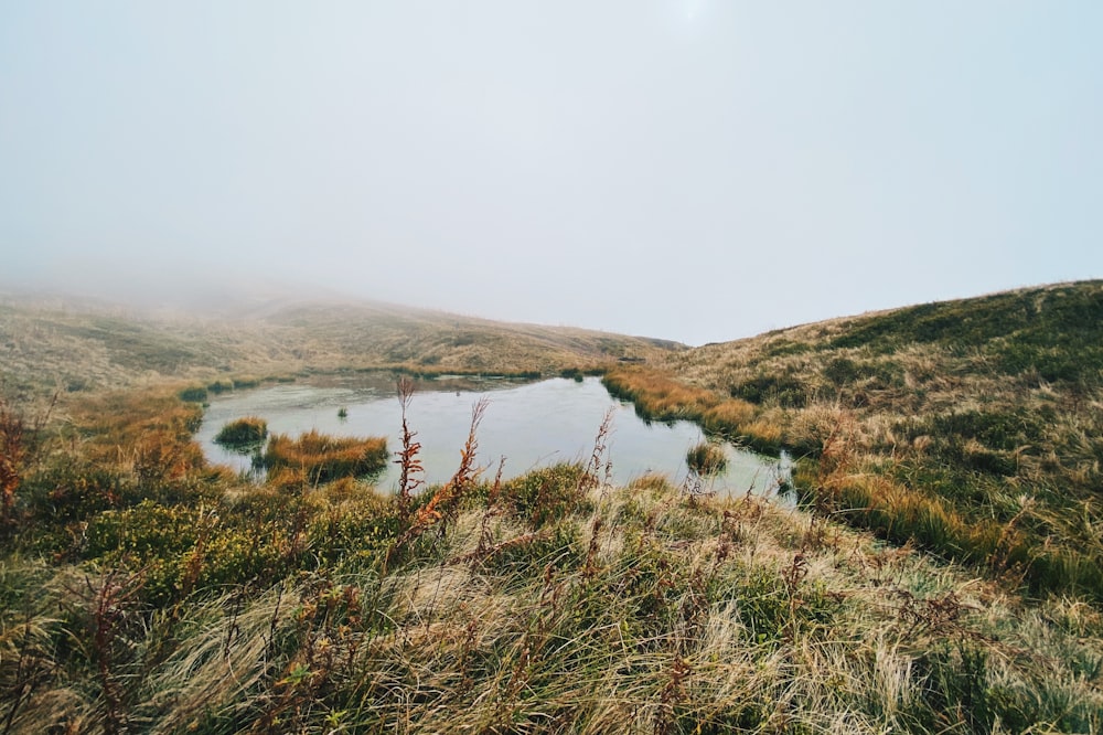 campo di erba verde vicino al lago durante il giorno