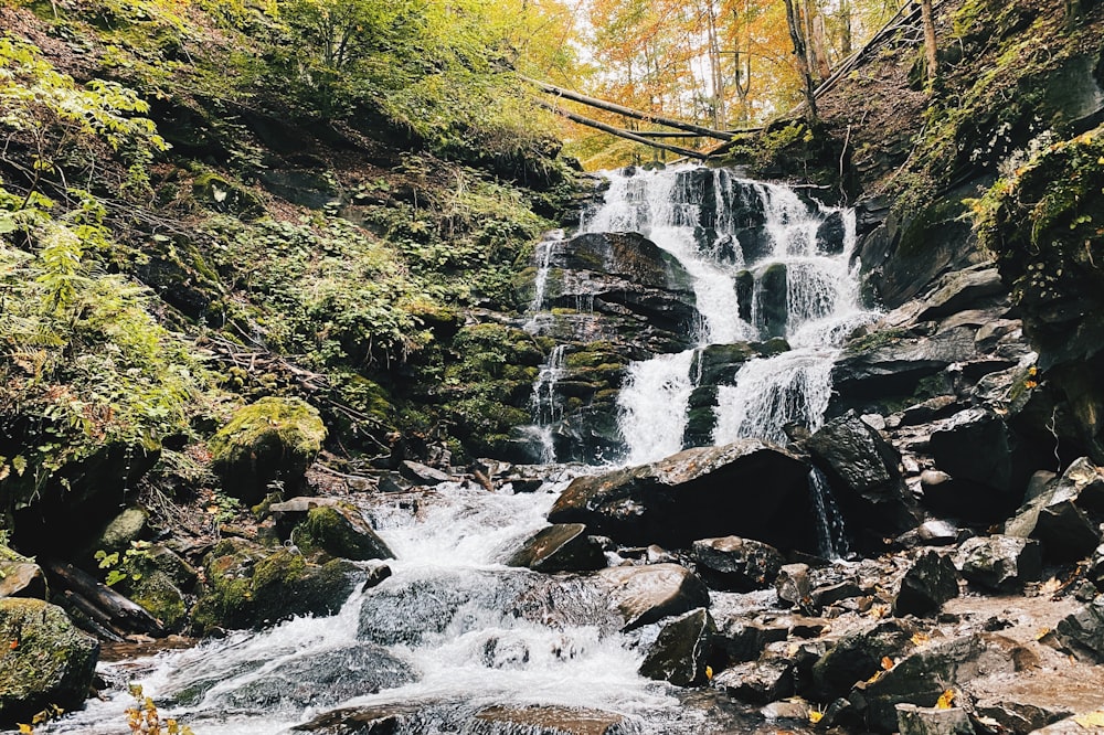 waterfalls in the middle of the forest