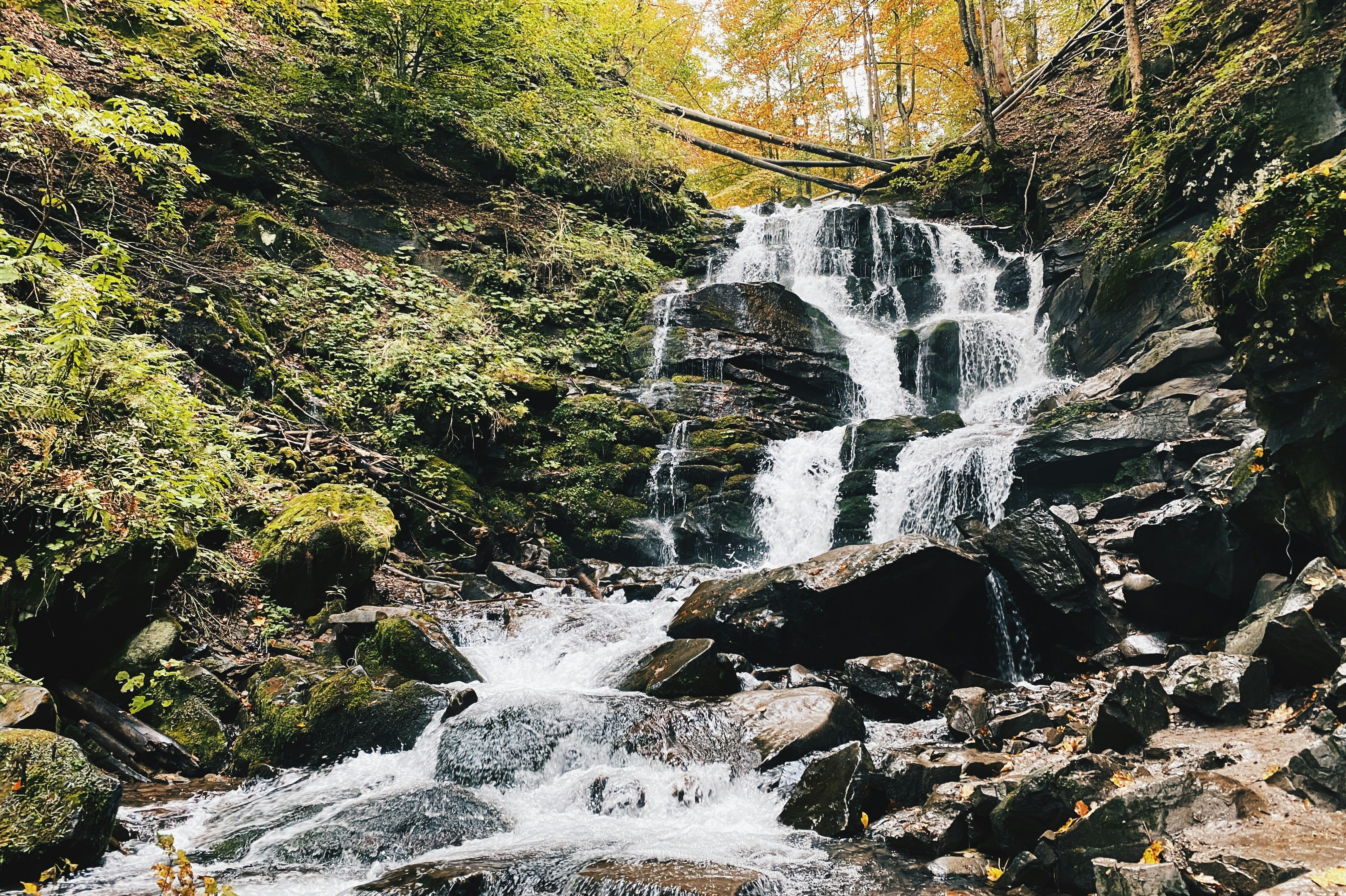 waterfalls in the middle of the forest