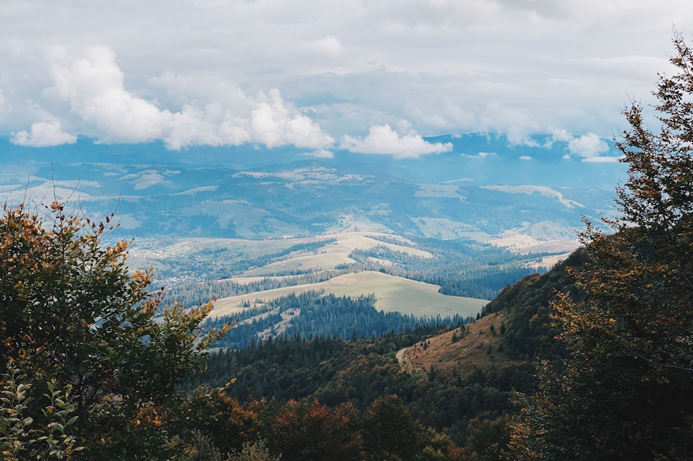 green trees on mountain under white clouds during daytime