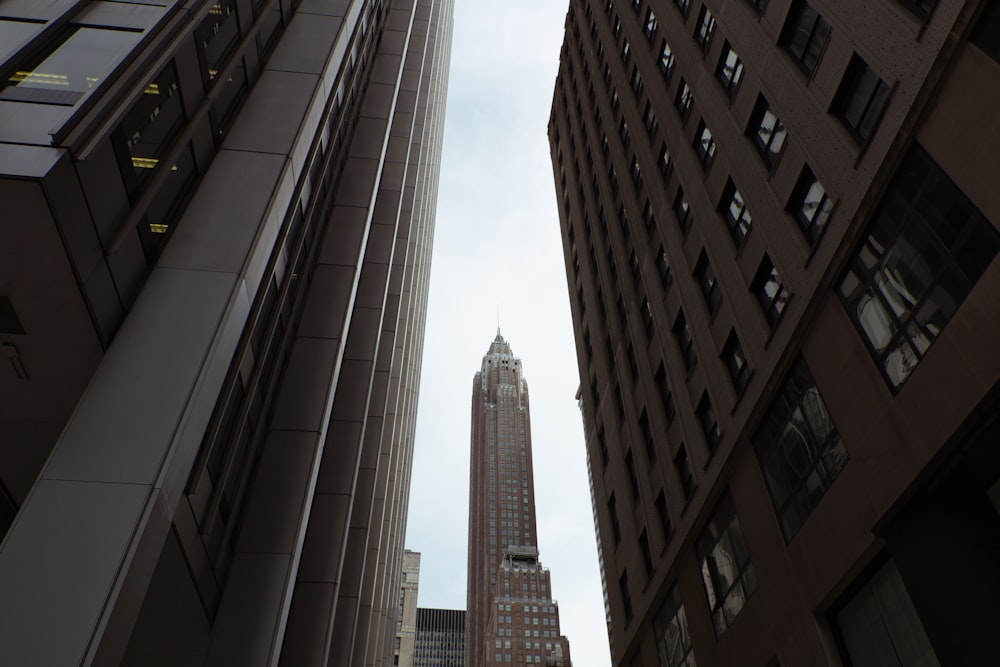 brown concrete high rise building