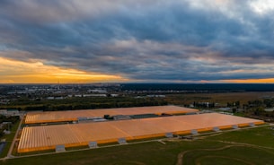 A large agricultural greenhouse complex with transparent roofs is illuminated by artificial lighting. The complex is surrounded by greenery and situated near a cityscape visible in the distant background. The sky is overcast with dark clouds, and there is a faint orange and yellow glow near the horizon suggesting a sunset or sunrise.