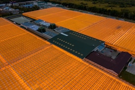 Aerial view of an extensive greenhouse complex during nighttime, illuminated with bright orange lighting. The greenhouses cover a large area with a central structure featuring a dark green roof and several cylindrical tanks nearby. The surrounding landscape includes patches of greenery and a small body of water.