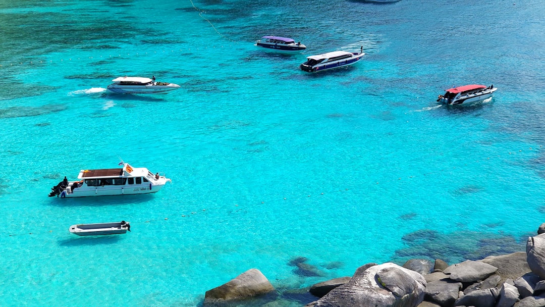 white and black boat on sea during daytime