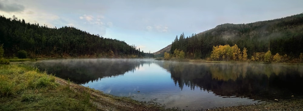 árboles verdes cerca del lago bajo el cielo blanco durante el día