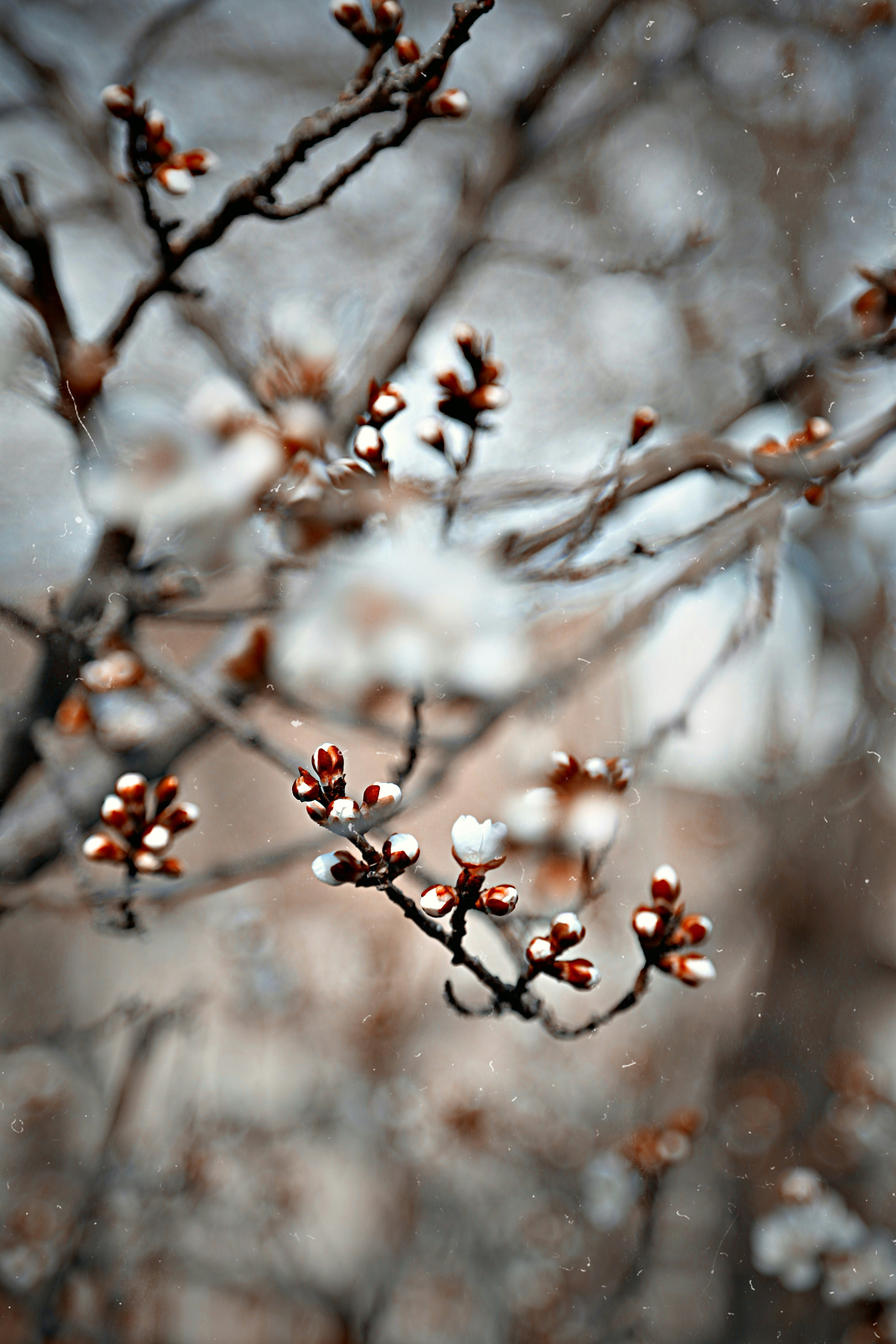 Photo by parizad_shojaei