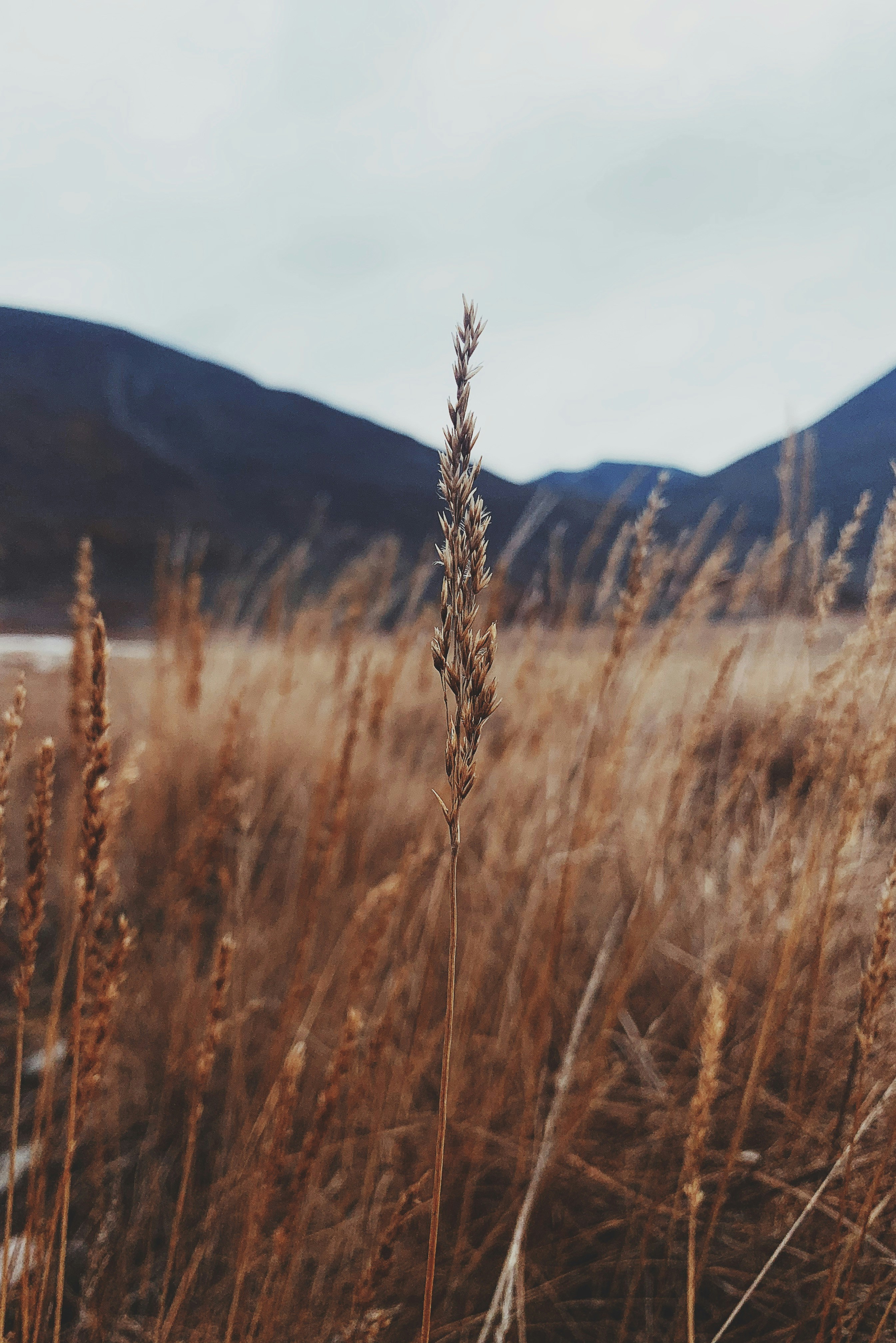 Photo by evgeniy_trufanov