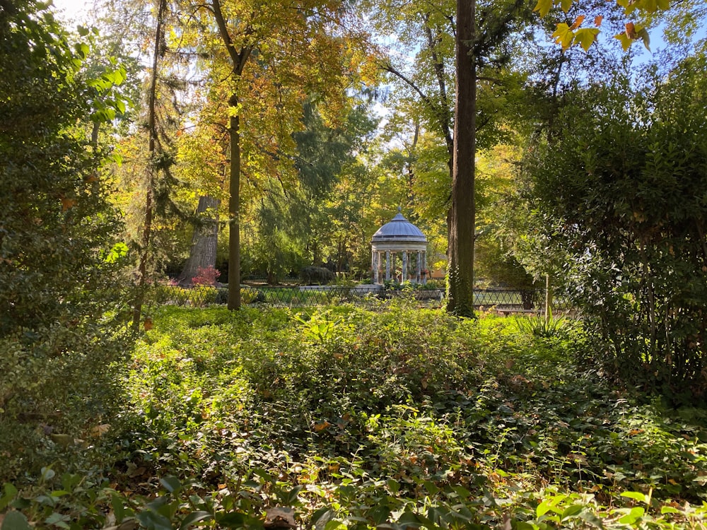 green and yellow trees near white gazebo during daytime