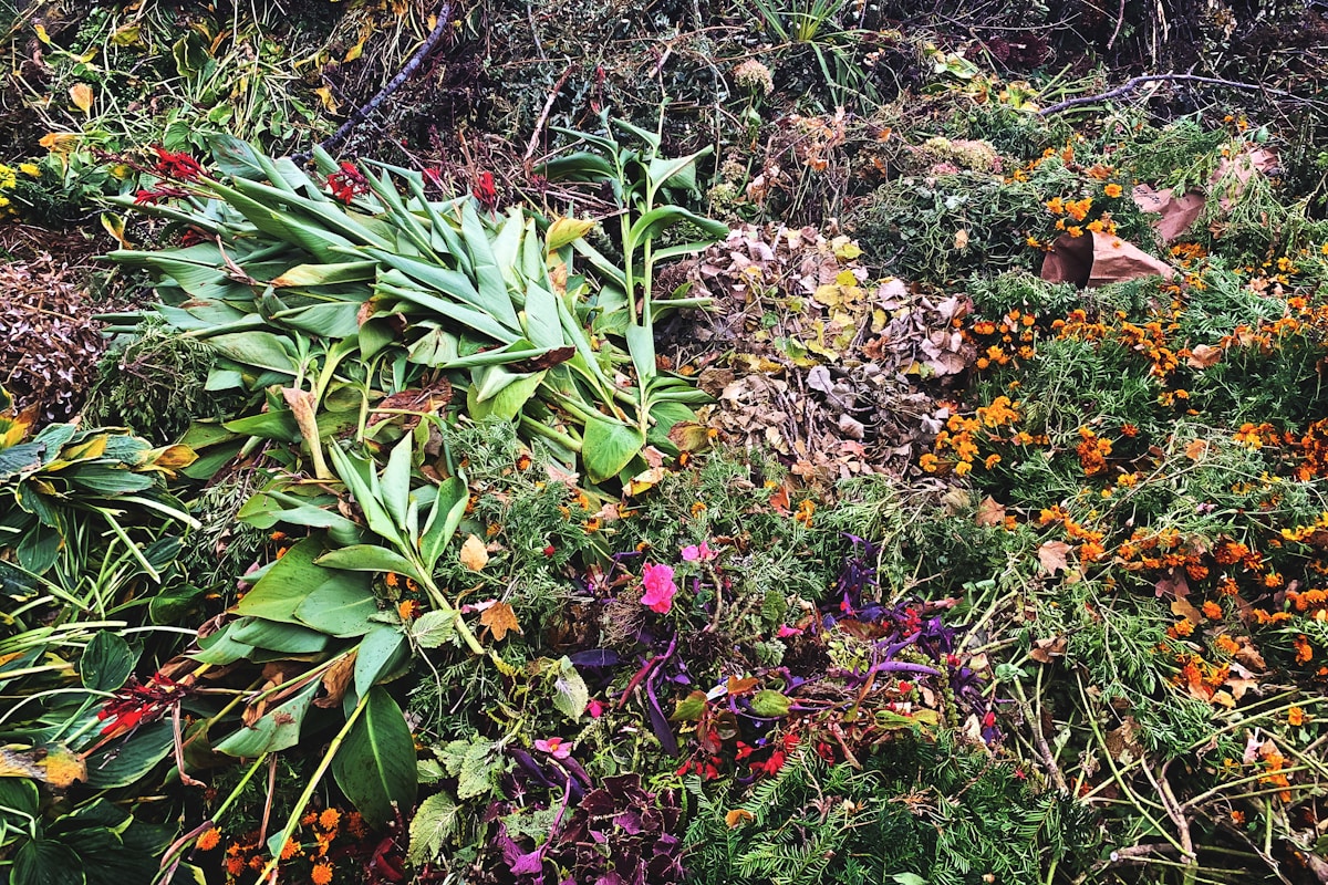 Garden waste removal image