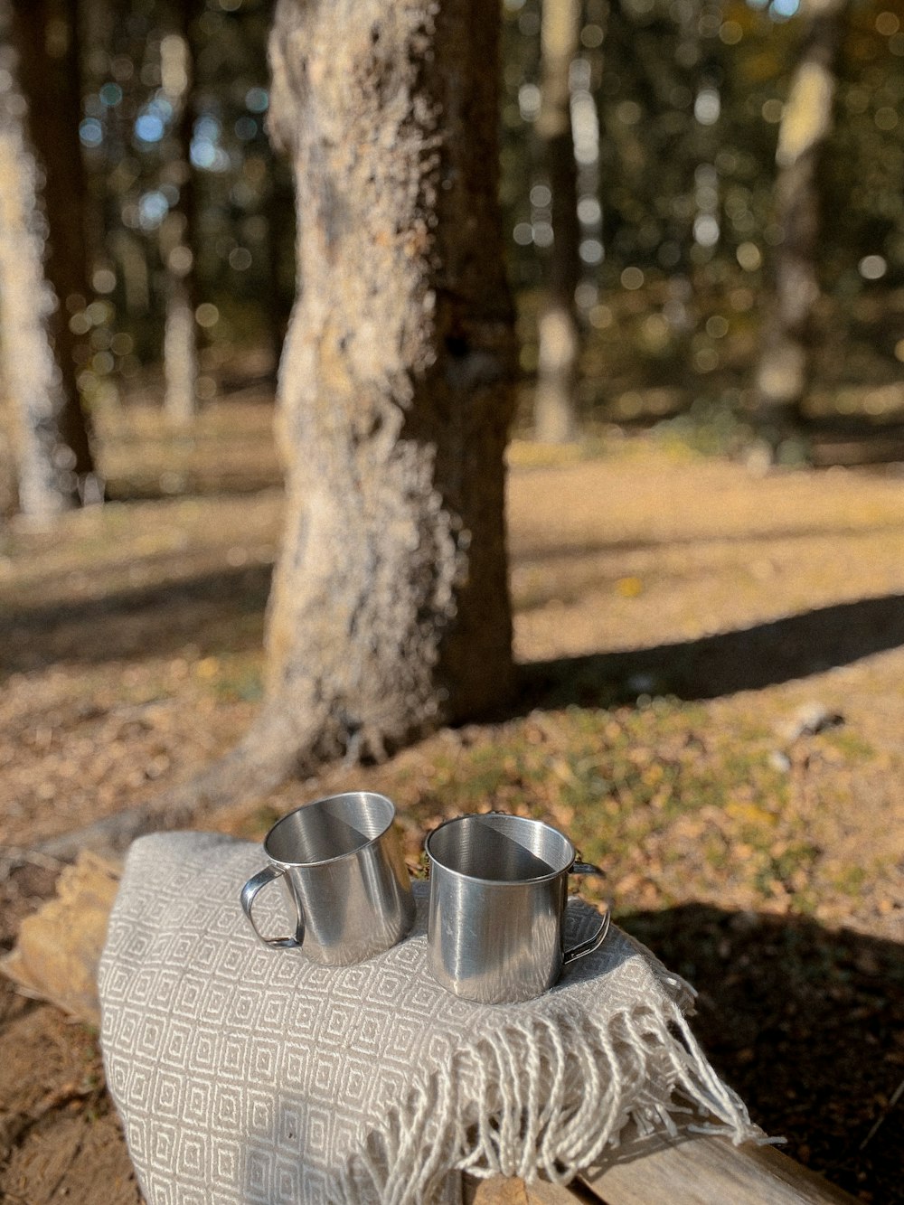 2 stainless steel cups on brown soil