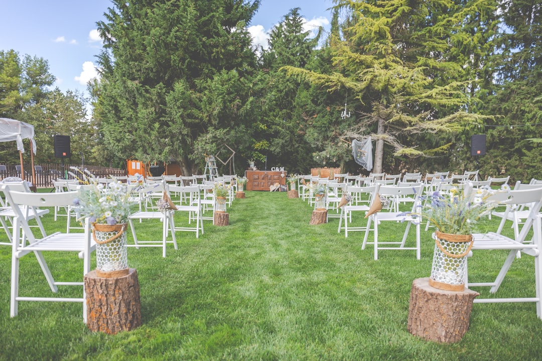 white wooden chairs on green grass field