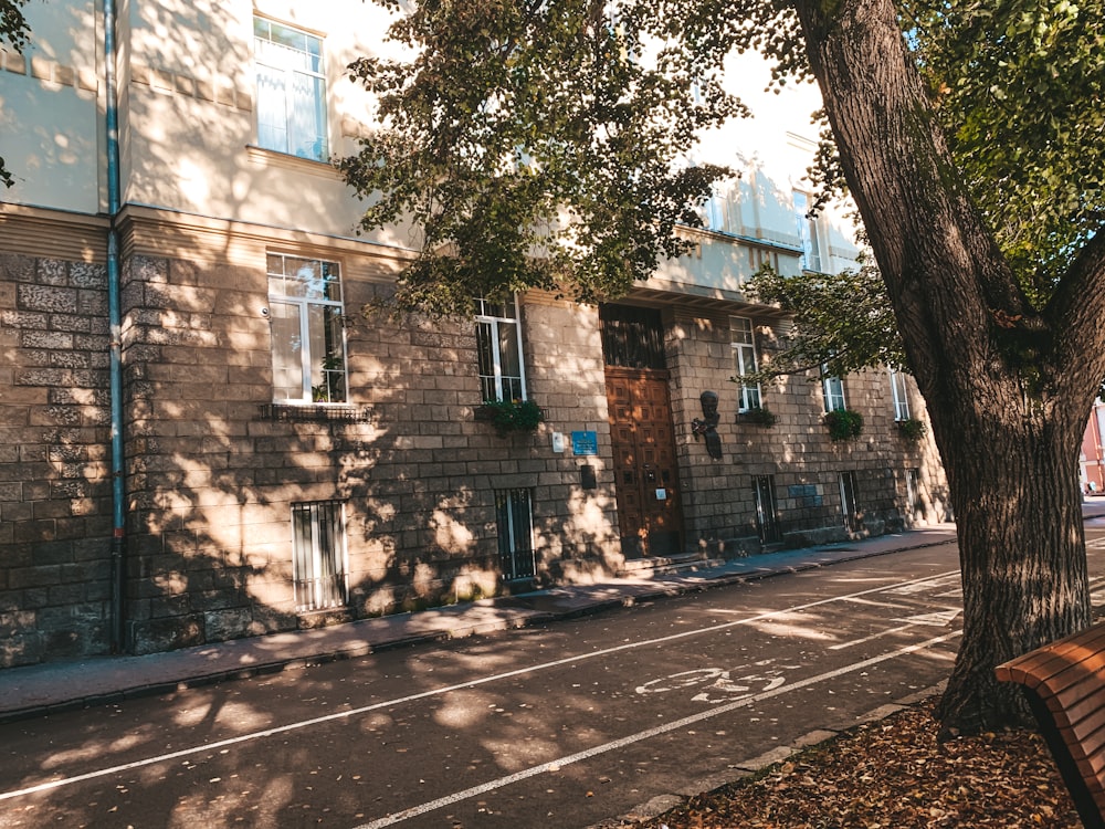 brown concrete building near green trees during daytime