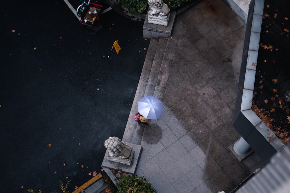 white umbrella on black asphalt road