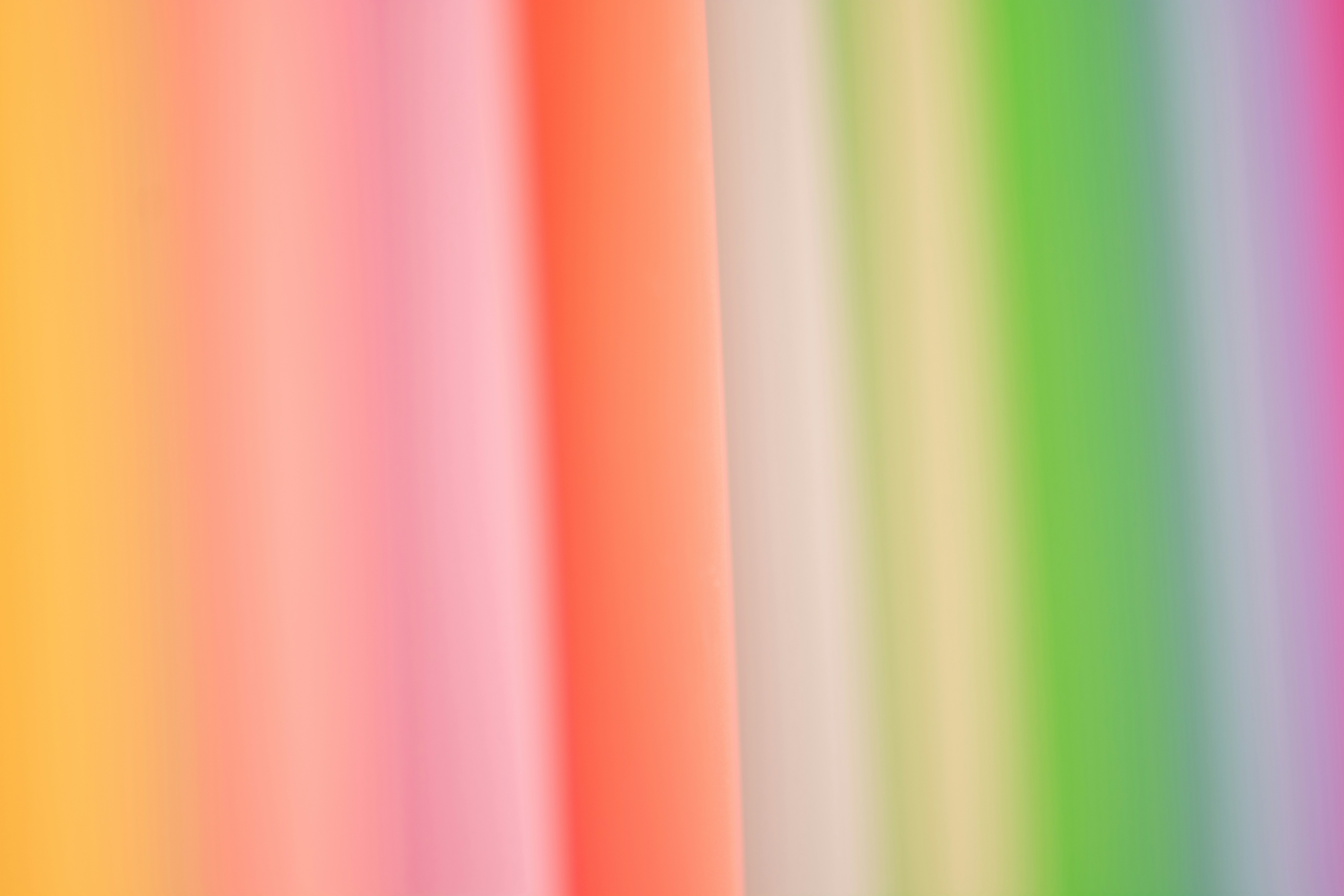 Bingus Network header image