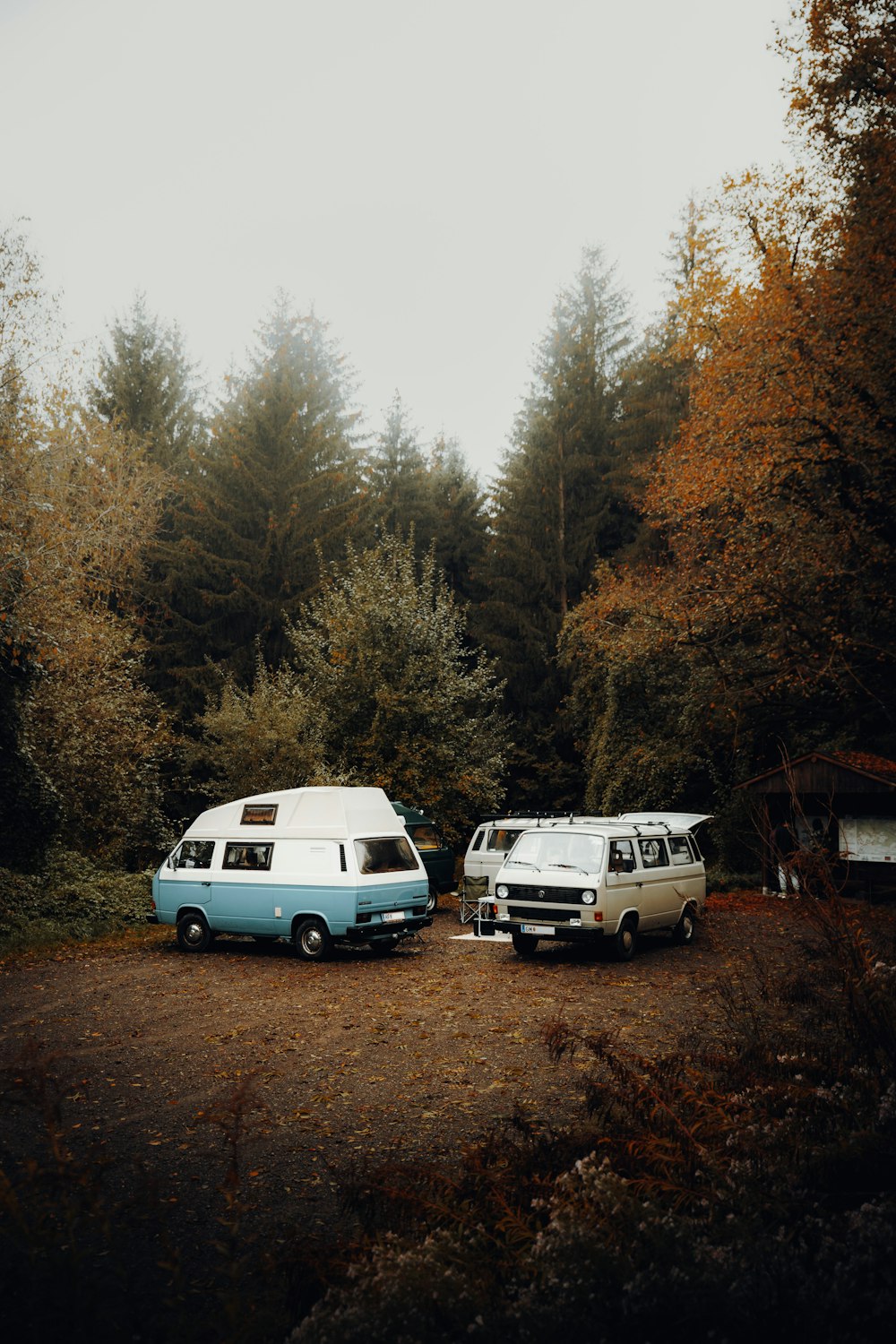 white van in the forest during daytime